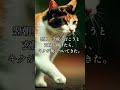 【1分で怖い話】隣の家の猫 #Shorts