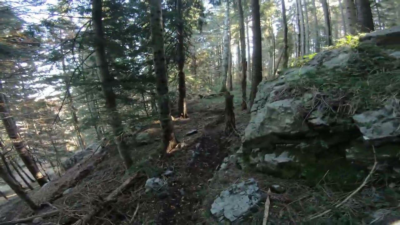 MTB enduro sul Monte Cocuzzo 