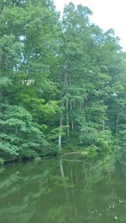 Lake Lenape