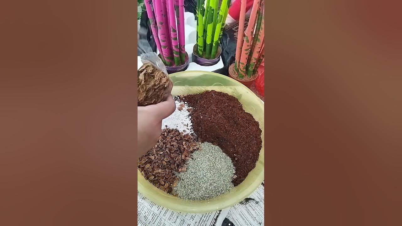 Онлайн порно пародиялар