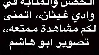 زيارة جميله لقرية الحضن وقرية المثابه ووادي غيثان ٨/٩/٢٠٢٠