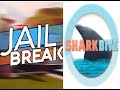 100 Subs Special//Roblox Jailbreak &amp; Sharkbite//Live
