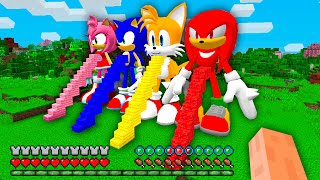 STAIRCASE TO SONIC KNUCKLES TAILS AMY ROSE in Minecraft