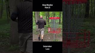 Disc Golf at Alsop Meadow - Hole 15 #discgolf #dog