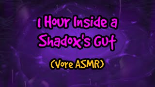 1 Hour Inside a Shadox's Gut (Vore ASMR)