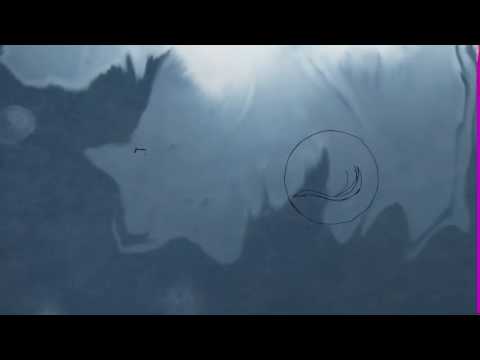 მოდი დინამოზე, უგულშემატკივრე შენი ქვეყნის ჩემპიონს