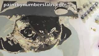 Paint By Numbers Timelapse (Pug And A Cookie)