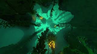 Live Background Kelp Underwater screenshot 1