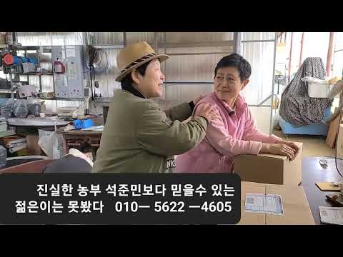 해풍맞은 새바람콩 <strong>쥐눈이콩</strong> 메주콩 판매 시작합니다 서리태콩 올해것은 달고 맛있다