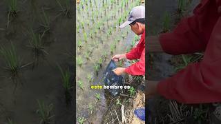 The Smartest Farming Trick You’ve Never Seen #farming#agriculture #sustainablefarming #lifehack