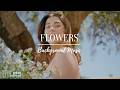 Flowers : Acoustic Folk Calm Relaxing Background Music