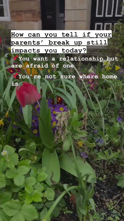 song about parents break up