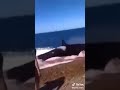 صوت الحوت الازرق