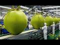 🥥😱 Inside the Mega Coconut Water Factory! How Fresh Coconuts Become Premium Drinks 🏭🔥