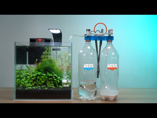 Clscea シルボン　化学式Co2 水草育成用 sddefault.jpg