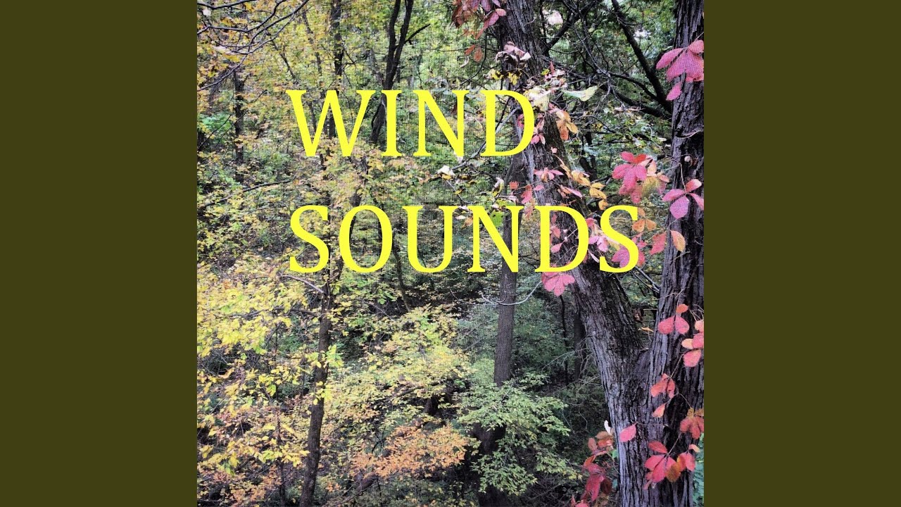 Watch Wind Blowing on YouTube Watch Wind Blowing on YouTube