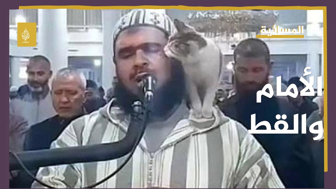 هل أخذ موضوع "الأمام والقط" جدلا أكبر من حجمه؟