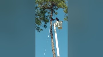 Controlled speed line.