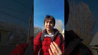 Inst Ali.prodvizhenie