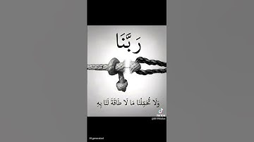 #توقف لا تهرب احترام القرآن الكريم