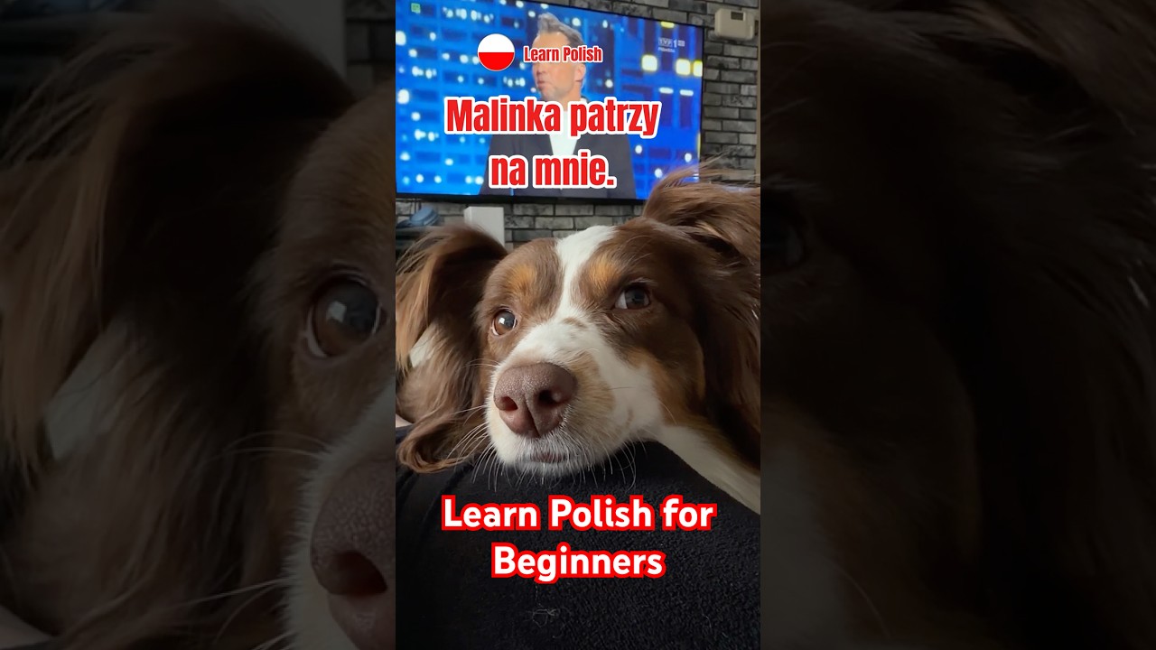 Polish Verb 'Patrzeć' - Looking At