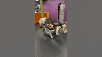 Lying Hamstring Curl Machine