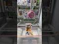 ☆橋渡し壊れた?!マルカワフーセンガムのガチャが可愛い!☆#ufoキャッチャー #クレーンゲーム #clawmachine #인형뽑기 #夾娃娃機 #shortsvideo #shorts