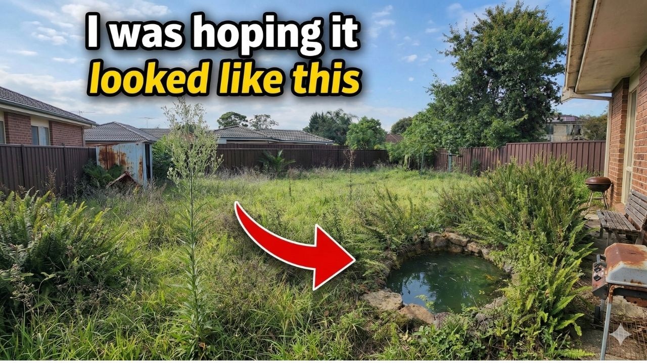 Скрытый рыбный пруд под этими джунглями