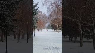 Зима пришла в наш город ❄️☃️ #макеевка #зима #зимавгороде