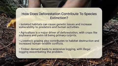 How Does Deforestation Contribute To Species Extinction? - Ecosystem Essentials