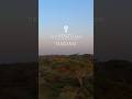 NDUTU Travel Wildlife Naturelovers Animals Lion Tanzania Movie Safari Nature Leopard NDUTU Travel Wildlife Naturelovers Animals Lion Tanzania Movie Safari Nature Leopard