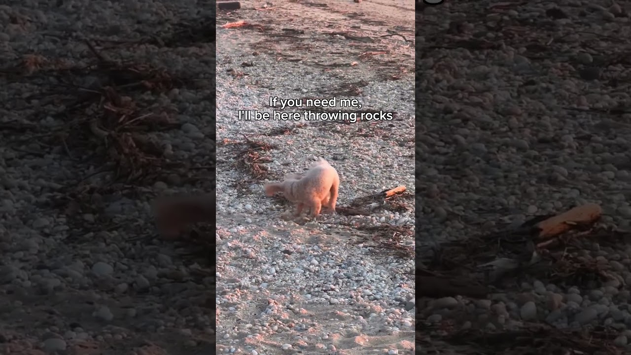 AJR TMM Deluxe song leak (probably last choirs)