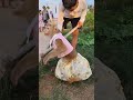 YaYa Dancing With Bro Nam ЁЯТЛЁЯШВ YaYa Dancing With Bro Nam ЁЯТЛЁЯШВ