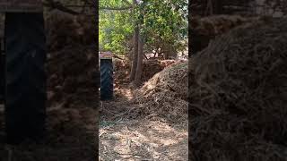 Chopper chopper woodworking woods chopping choppedandscrewed views nature cocopun