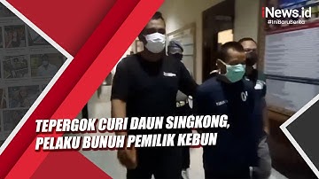 Tepergok Curi Daun Singkong, Pelaku Bunuh Pemilik Kebun di Lampung Utara