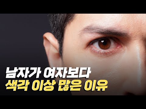 [핫클립] 남자가 여자보다 색각 이상이 더 많이 일어나는 이유 / YTN 사이언스
