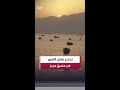 British Maritime Authority Ships Failure To Comply With US Navy Orders In The Strait Of Hormuz 
