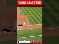 Albert Pujols Ties Babe Ruth on Last Swing #BabeRuth #pujols #baseballhistory #birdchatter #stlcards