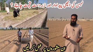 Garlic farming |Lahsan ki kasht ka behtreen treeka aur kuch zaroori maloomat |IR FARM