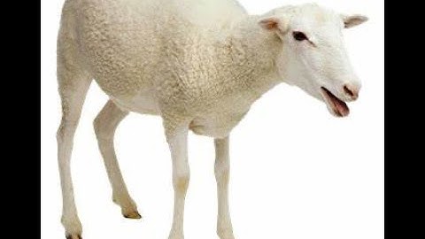 Fallout 4 (part 1) Escape the vault