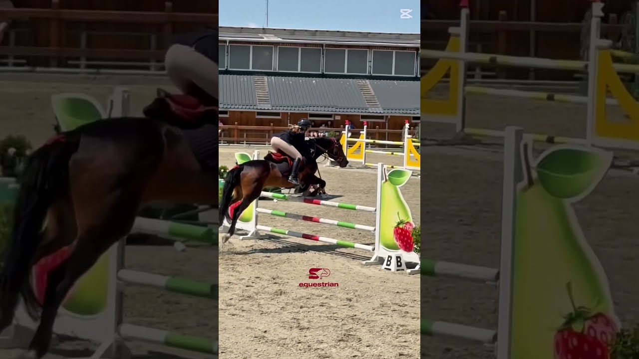 Do You Like My New Sign Whrite In Coment Horse Equestrian Horsejumping