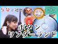 [せかほし] 世界のボタン | パリ＆ベツレヘム | せかほし5min. | NHK