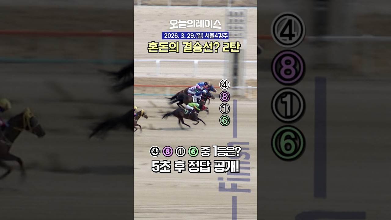 혼돈의 결승선! 2탄 결과는? #경마 #horse