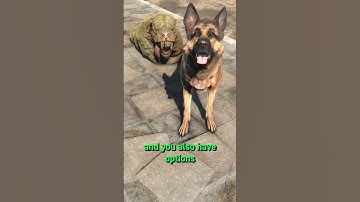 Fallout 4’s Best Dog Vendor