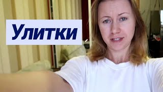 УЛЕТАЕМ НА КУБУ! КТО С ЖИВОТНЫМИ? У УЛИТОК ЯЙЦА😱 МЫ КОГО-ТО ЗАВЕЛИ😃