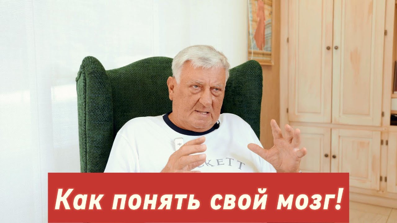 Как работает мозг: энергия, тело, стресс и поведение