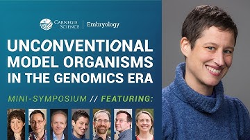 Comparative Analysis of Gene Regulatory Networks in Extremophiles (Amy Schmid) // Minisymposium 2020