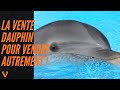 La vente dauphin  la solution pour vendre autrement