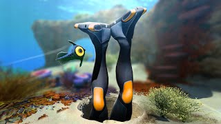 Cave Divers for No Reason