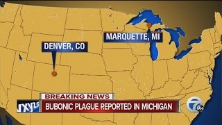 Bubonic plague reported in Michigan